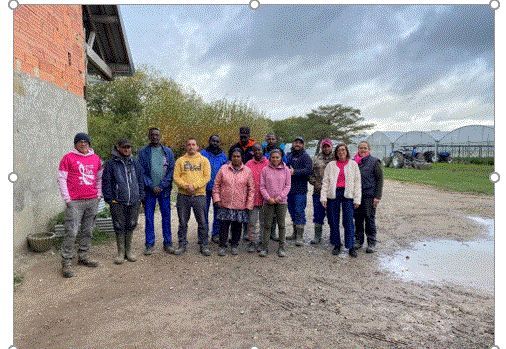 Soutien à la lutte contre le cancer du sein : Les Potagers de Velles d'engagent pour Octobre Rose